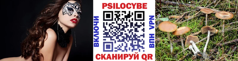 Псилоцибиновые грибы Psilocybe  Нерчинск 